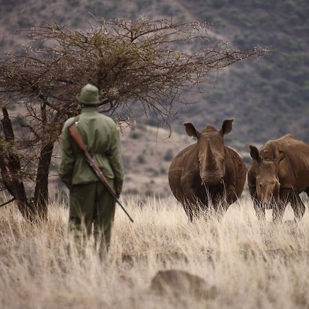 Elewana Lewa Safari Camp Hotel Timau Kültér fotó