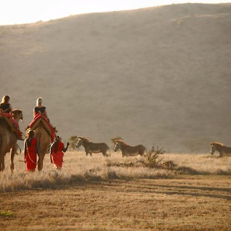 Elewana Lewa Safari Camp Hotel Timau Kültér fotó