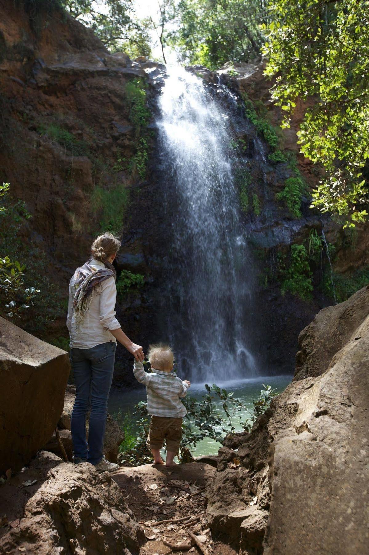 Elewana Lewa Safari Camp Hotel Timau Kültér fotó