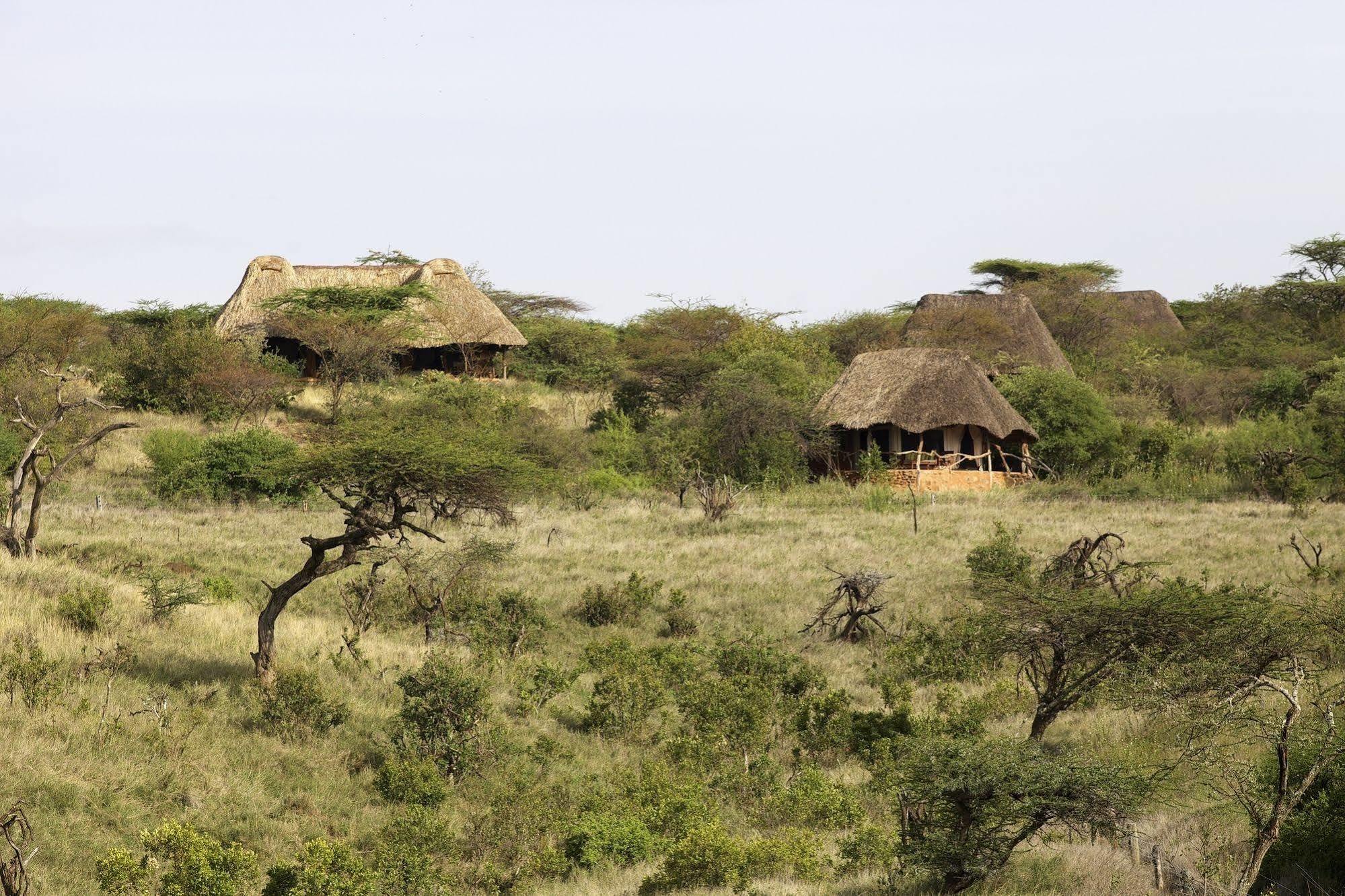 Elewana Lewa Safari Camp Hotel Timau Kültér fotó