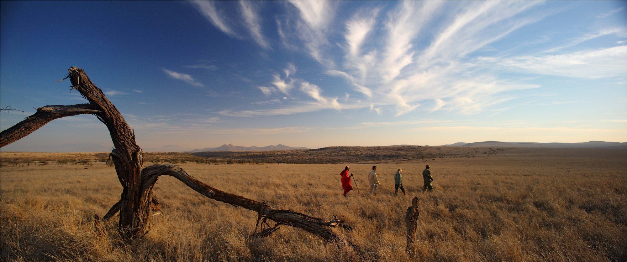 Elewana Lewa Safari Camp Hotel Timau Kültér fotó