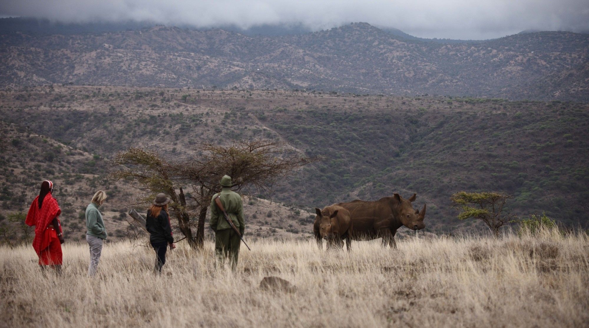 Elewana Lewa Safari Camp Hotel Timau Kültér fotó