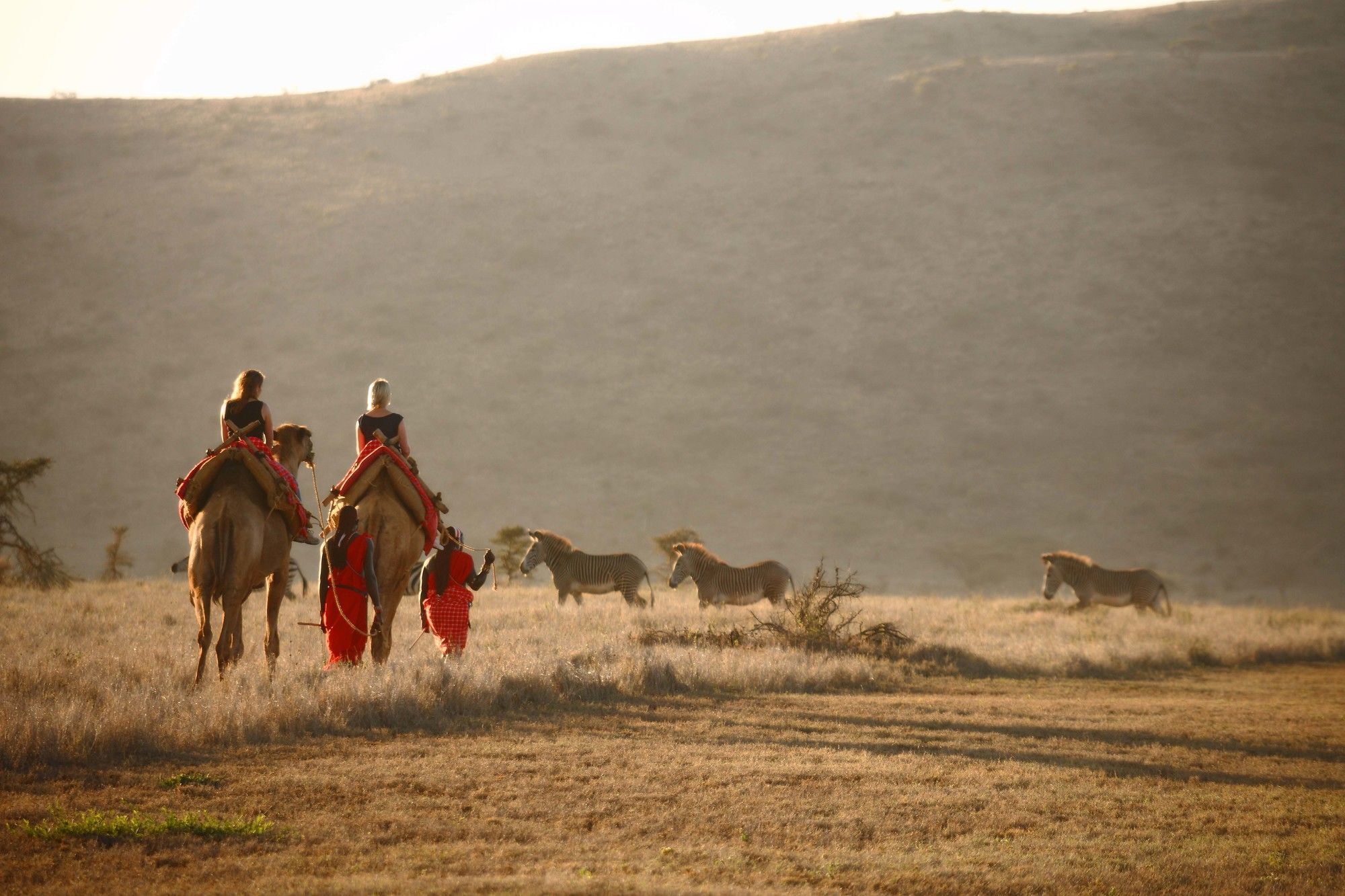 Elewana Lewa Safari Camp Hotel Timau Kültér fotó